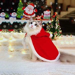 2019Costumes Clothes Cotton Wholesale New Pet Dress Christmas Dog Cat Pet Cloak With Hat