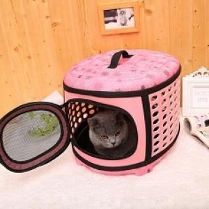 Factory outlet cat/dog bag pet travel carrier EVA eco-friendly different colors 