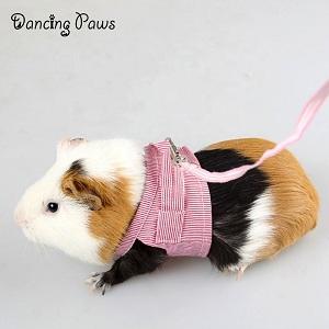 2019 new red blue stripe adjustable small pet cotton leash collar guinea pig rabbit walking traction rope harnesses